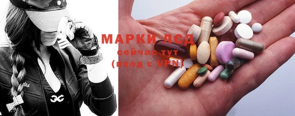 гашик Дмитров