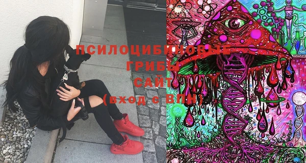 марки lsd Дмитровск