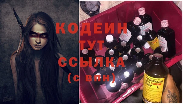 гашик Дмитров