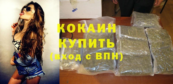 гашик Дмитров