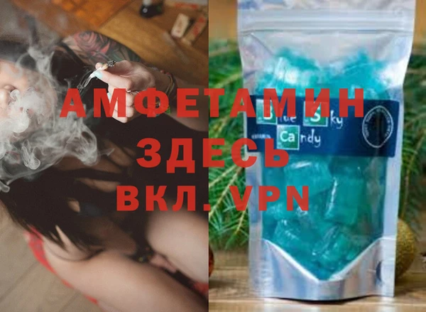 гашик Дмитров