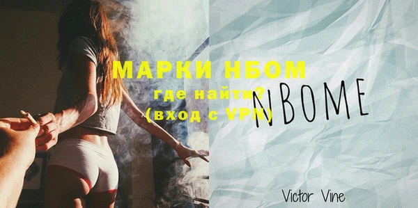 гашик Дмитров