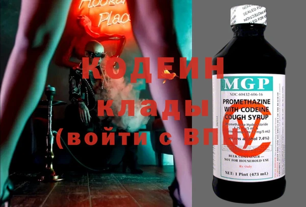 гашик Дмитров