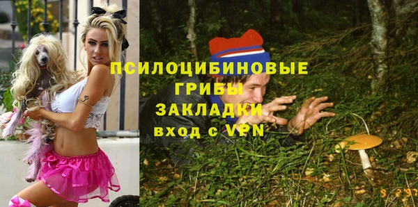гашик Дмитров
