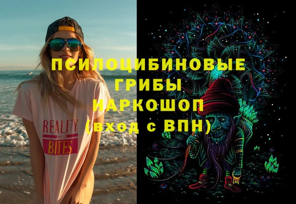 гашик Дмитров