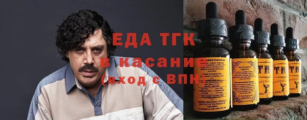 гашик Дмитров