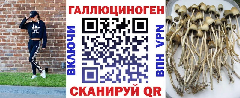 наркошоп  blacksprut ССЫЛКА  Псилоцибиновые грибы GOLDEN TEACHER  Салават 